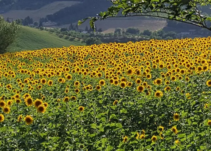 Mazzamurello Caldarola